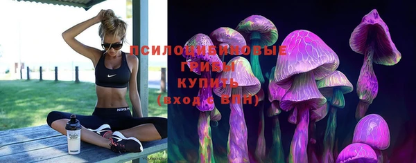 а пвп мука Беломорск