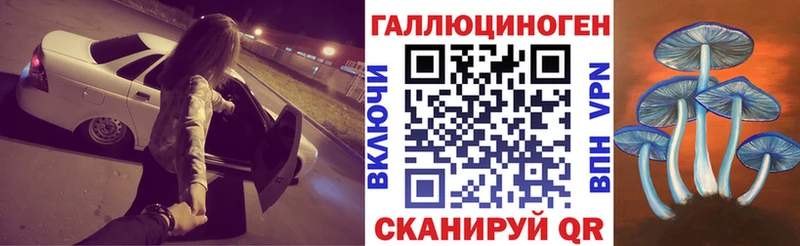 как найти закладки  Гусь-Хрустальный  Галлюциногенные грибы Psilocybine cubensis 